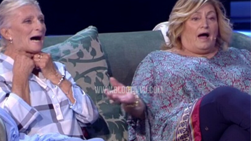 Che fine hanno fatto le opinioniste pop del Grande Fratello Vip? Signorini risponde in diretta preview