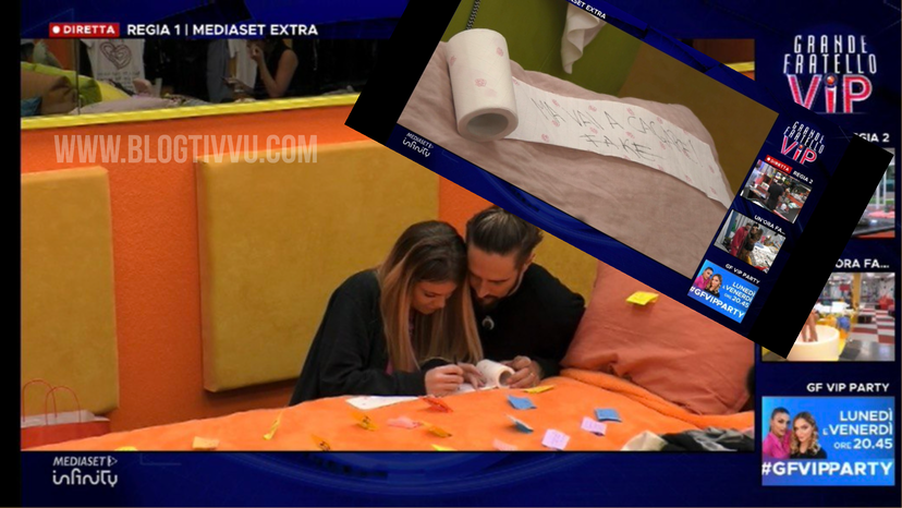 “Ma vai a cag*re, fake!” scritto sulla carta igienica: Sophie lascia un messaggio a Gianmaria preview