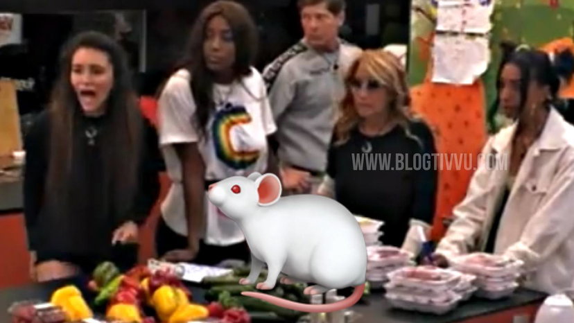 Topo al Grande Fratello Vip: urla e caos in Casa, regia censura – VIDEO preview