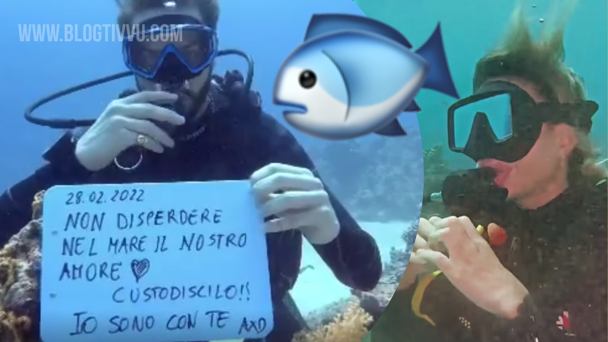 Video “fake” di Alex Belli? Elena Morali lo sbugiarda: “Ha usato Photoshop e mi ha rubato l’idea!” article-post