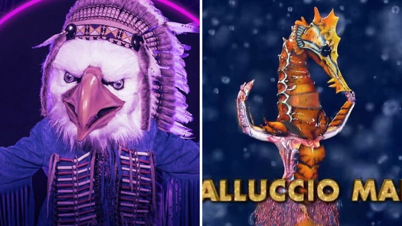 Il Cantante Mascherato, eliminati Aquila e Cavalluccio Marino: ecco chi c’era sotto le maschere preview