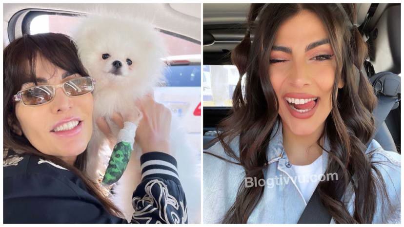 Fariba litiga con Giulia Salemi e la rimprovera pubblicamente: “Hai scritto un post infelice!” preview