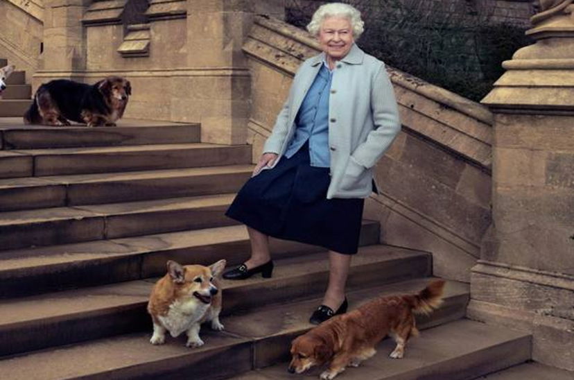 I Corgi della Regina Elisabetta hanno trovato casa: ecco chi prenderà i suoi cani preview