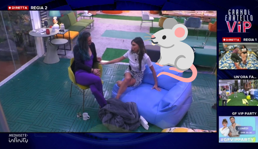 Topo al GF Vip, spunta un video “sospetto”: analizziamo i fatti preview
