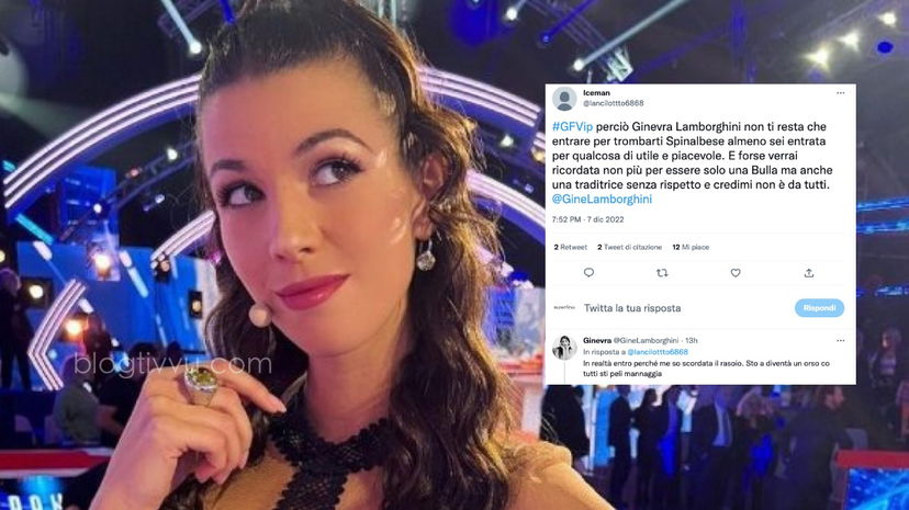 “Bulla, traditrice e inutile”, Ginevra Lamborghini risponde (in maniera perfetta) all’hater che la insulta: ecco cosa è successo sui social preview