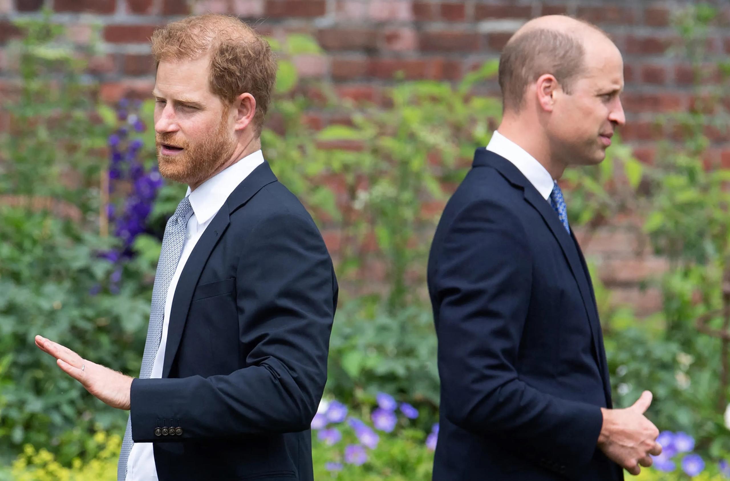 Harry e William