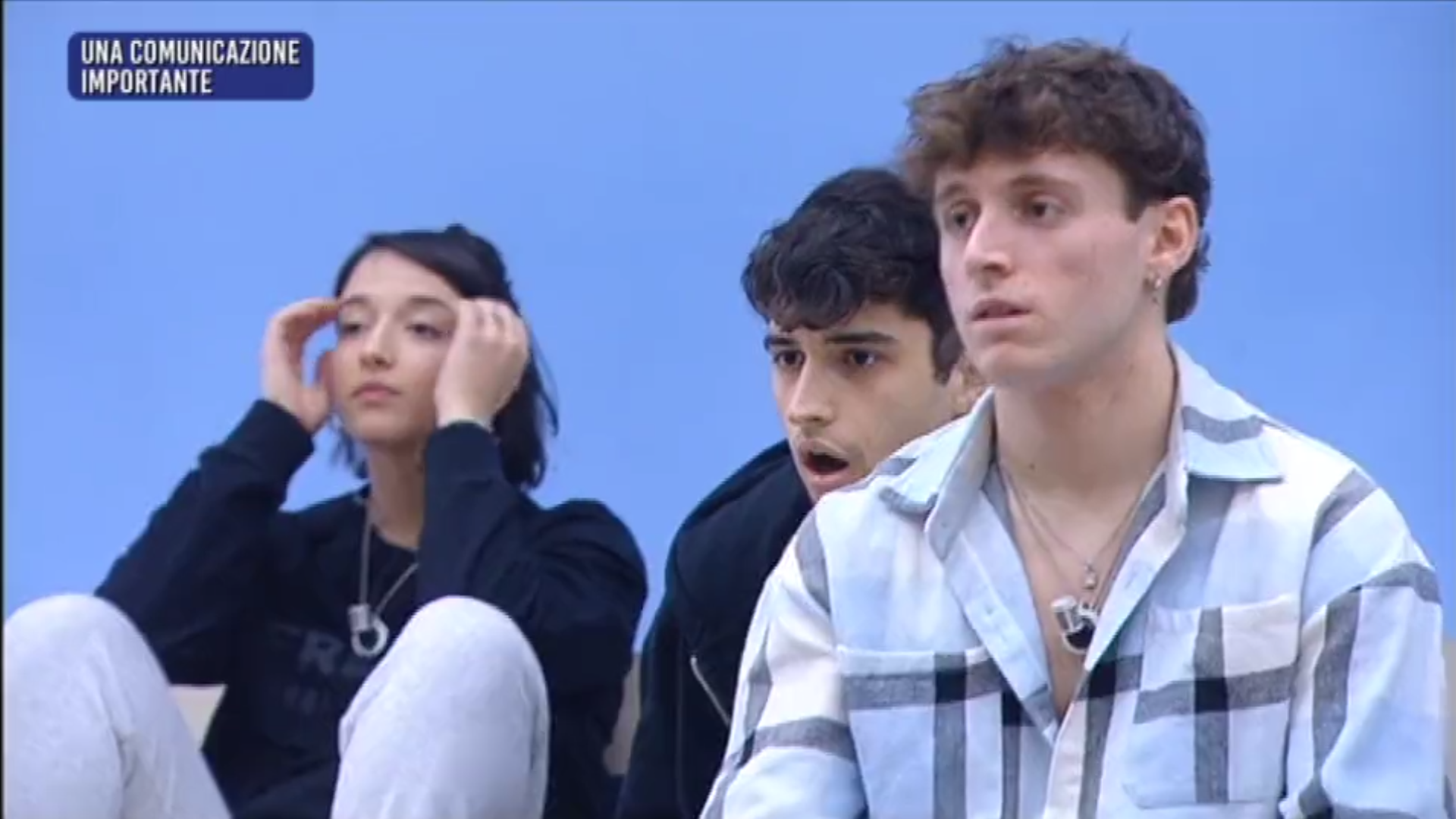 Amici 22