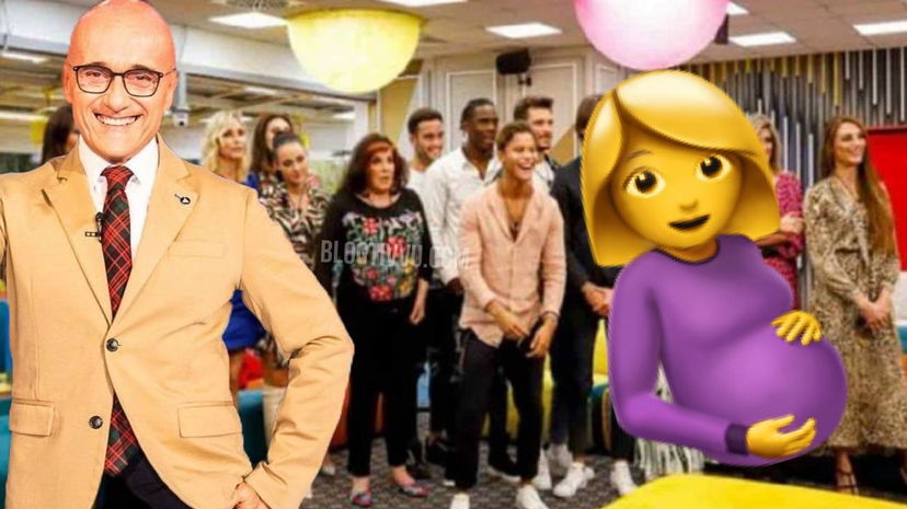 “Siamo in attesa della cicogna”, parla ex del Grande Fratello Vip: “Sarò una mamma molto presente!” preview