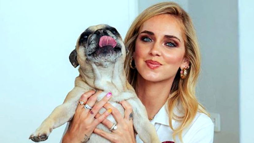 Lutto per Chiara Ferragni, è morta Matilda: “Sarai per sempre la mia prima bimba”, l’ultimo saluto preview