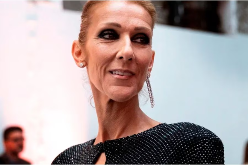 “Non funziona nessuna cura”, la malattia di Celine Dion: parla la sorella, ecco come sta preview