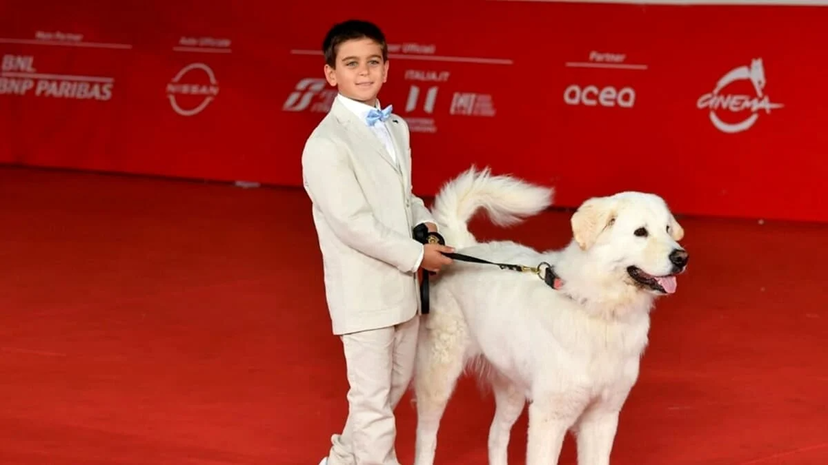 Chi è Mattia Basciani? Useppe de “La Storia”: vita privata del piccolo protagonista preview