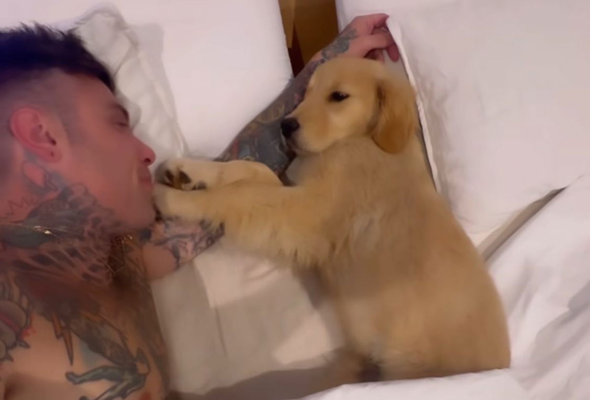 Il nuovo cane di Fedez