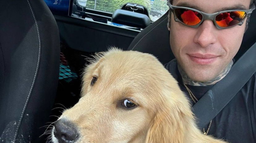 Fedez ricoverato in ospedale mostra la foto e compra un nuovo cane – VIDEO preview
