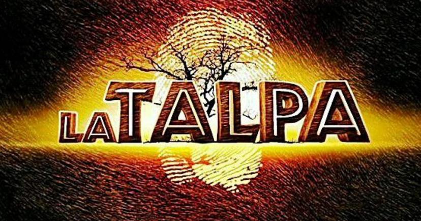 Concorrenti La Talpa, ecco il cast ufficiale: ex di Amici e del Grande Fratello preview