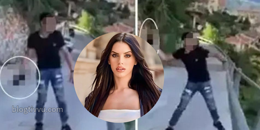 Minorenne lancia gatto dal ponte, Antonella Fiordelisi interviene: “Scena orribile da film horror” preview