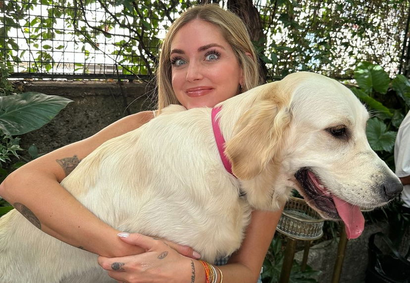Chiara Ferragni sotto accusa per il cane Paloma: “triste” e troppo esposto, lei replica preview