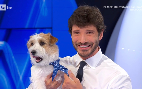 Affari Tuoi, chi è Tommasino: la nuova mascotte di Stefano De Martino e il legame con Gennarino preview