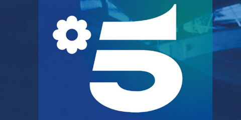 Canale5: svelati i Palinsesti Mediaset 2018 – 2019 preview