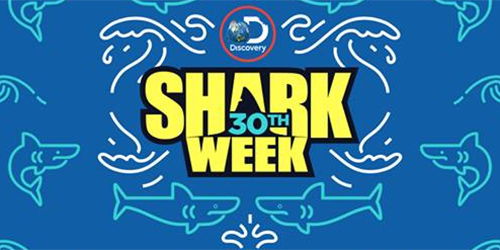 Shark Week 30: Discovery Channel festeggia con Bear Grylls article-post