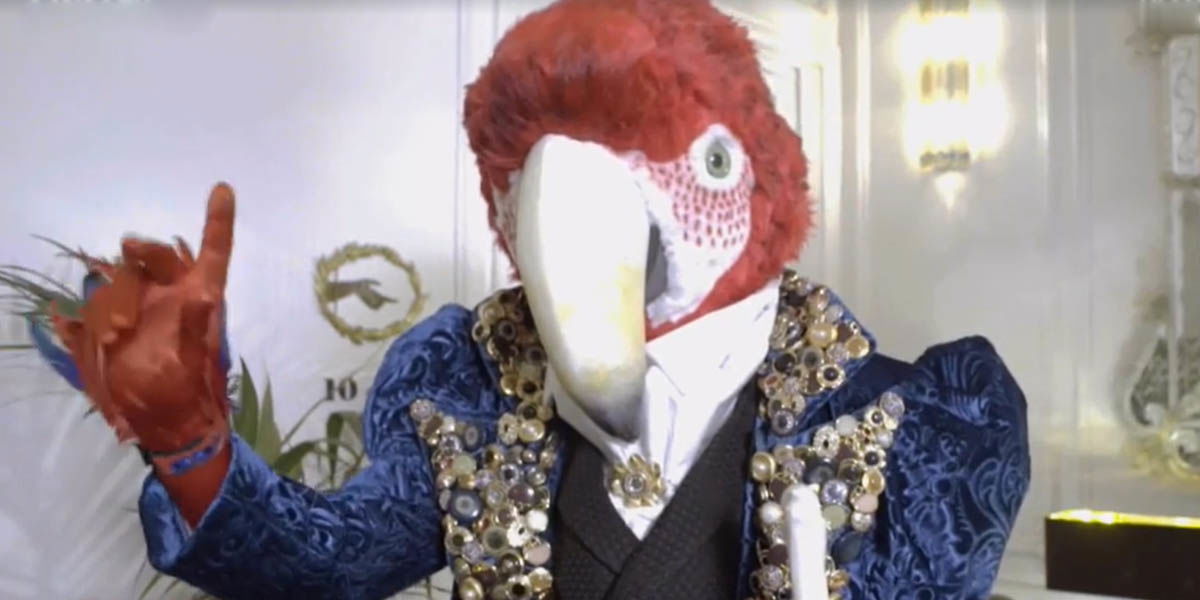 Il Cantante Mascherato: PAPPAGALLO smascherato, ecco chi è article-post