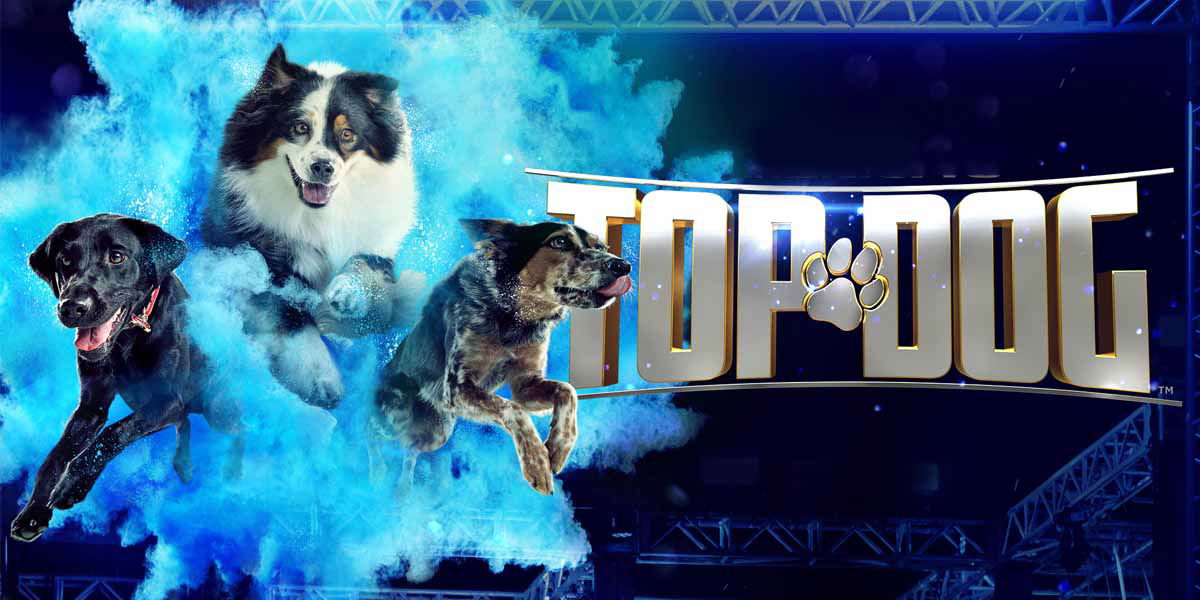 Top Dog: il format che mette Ninja Warrior ‘a quattro zampe’ article-post