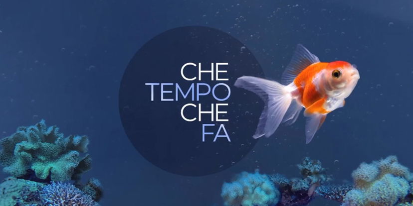Che Tempo che Fa: le pagine social restano alla Rai, la polemica dei conduttori article-post