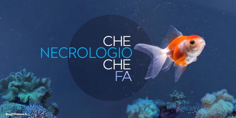 Che Necrologio Che Fa: Fazio torna online con 60 post social di lutto in 2 settimane preview