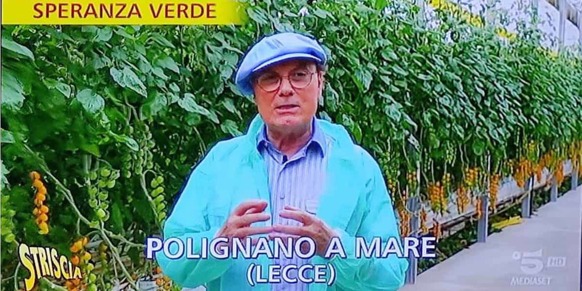 Polignano si trova in provincia di Lecce secondo Striscia La Notizia article-post