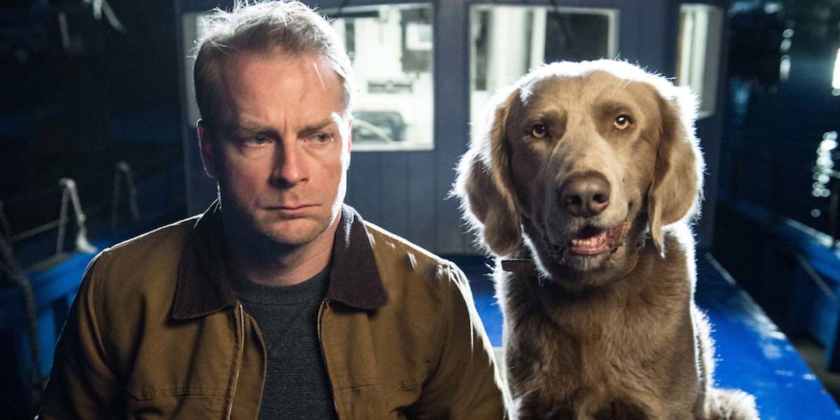 Giallo ha acquistato la serie tv crime Jacobs: un Veterinario per Agente article-post