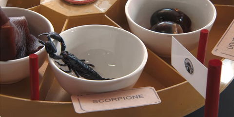 Pechino Express 2025: le coppie nella prova dei 7 Mostri – VIDEO preview