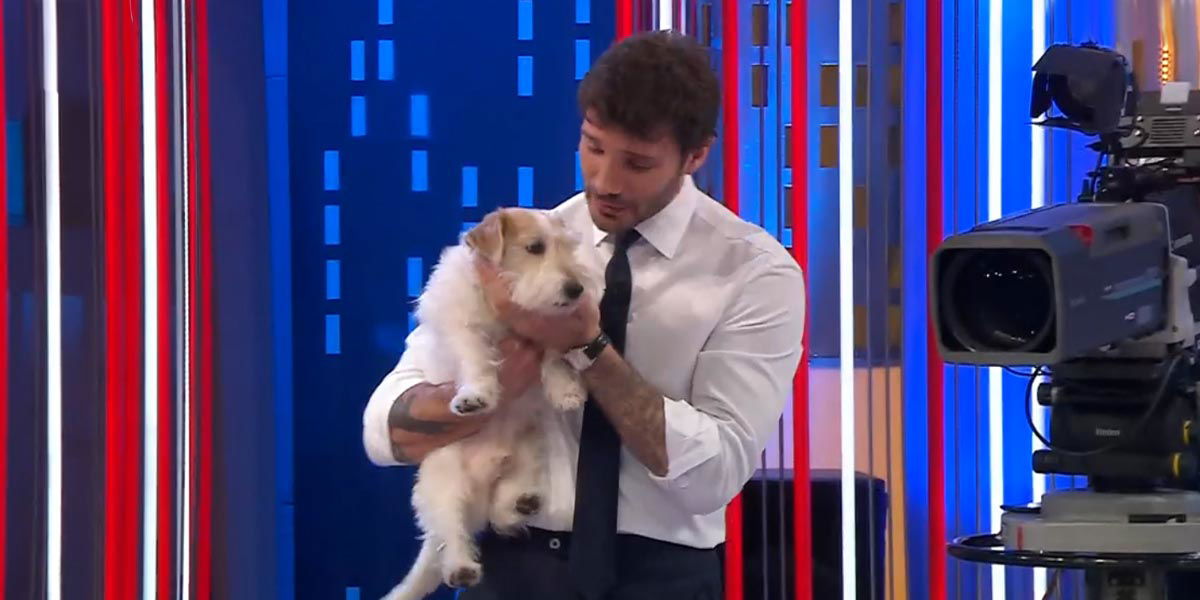 Affari Tuoi introduce Gennarino, il cane mascotte (come fa Striscia la Notizia) article-post