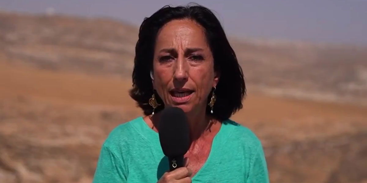 Tg3: inviata Lucia Goracci minacciata da colone pro Israele armato article-post
