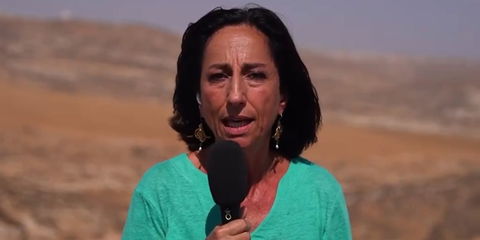 Tg3: inviata Lucia Goracci minacciata da colone pro Israele armato preview