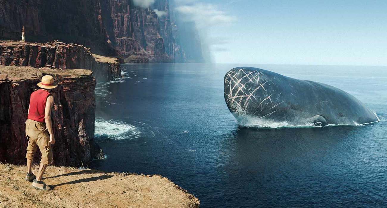 Lovoon One Piece Netflix