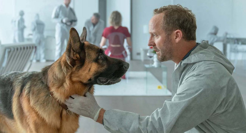 Il Commissario Rex 2026: la trama e gli episodi della nuova stagione su Rai2 preview