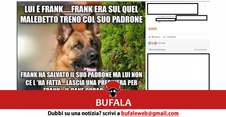 Bufala Il Cane Frank Morto Sul Treno Ad Andria Bufale Net Bufale