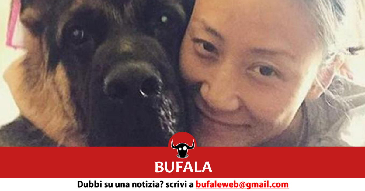 Il Cane Avverte Le Presenze In Casa