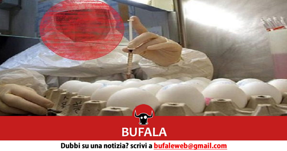 27+ Ilaria Capua Richard John William Currie Pics