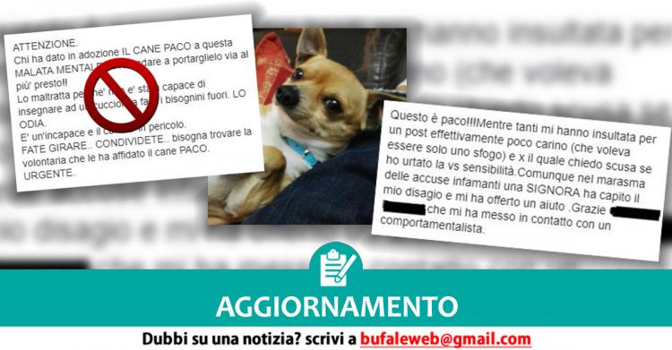 Aggiornamento Chi Ha Dato In Adozione Il Cane Paco A Questa Malata