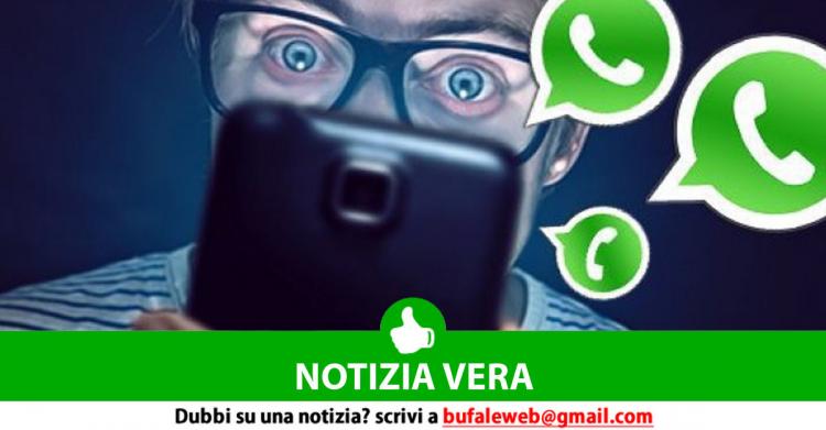 Gruppi Whatsapp