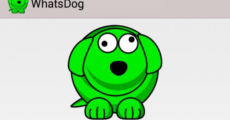 Whatsdog