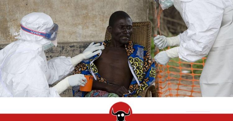 Ebola a Pisa