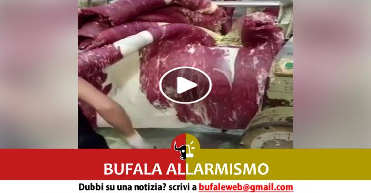 presunta "carne finta made in china"