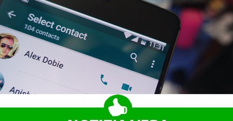 Gruppi WhatsApp