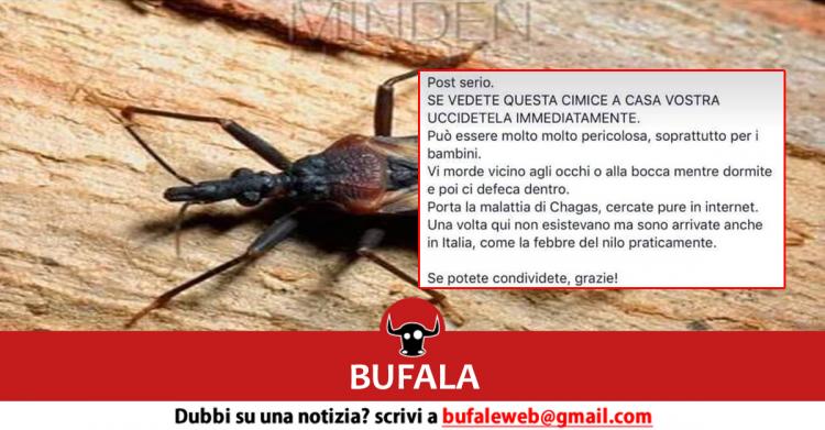 Malattia di Chagas