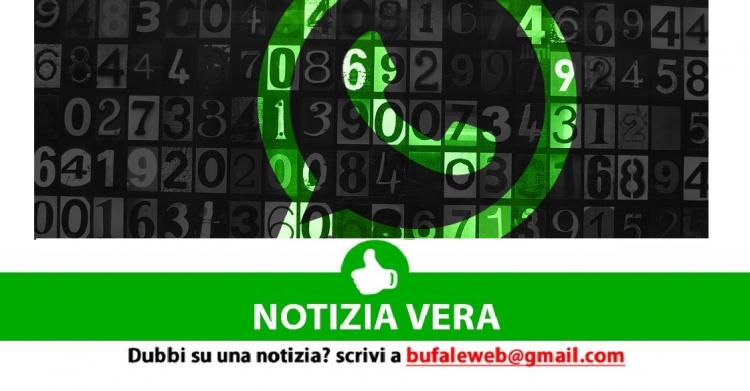 Gruppi WhatsApp