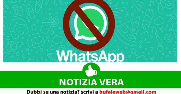 Chat WhatsApp