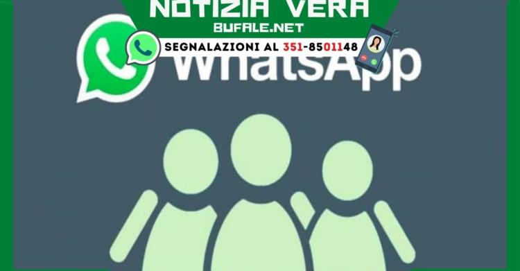 Gruppi WhatsApp