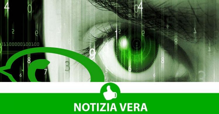 spiare le chat WhatsApp