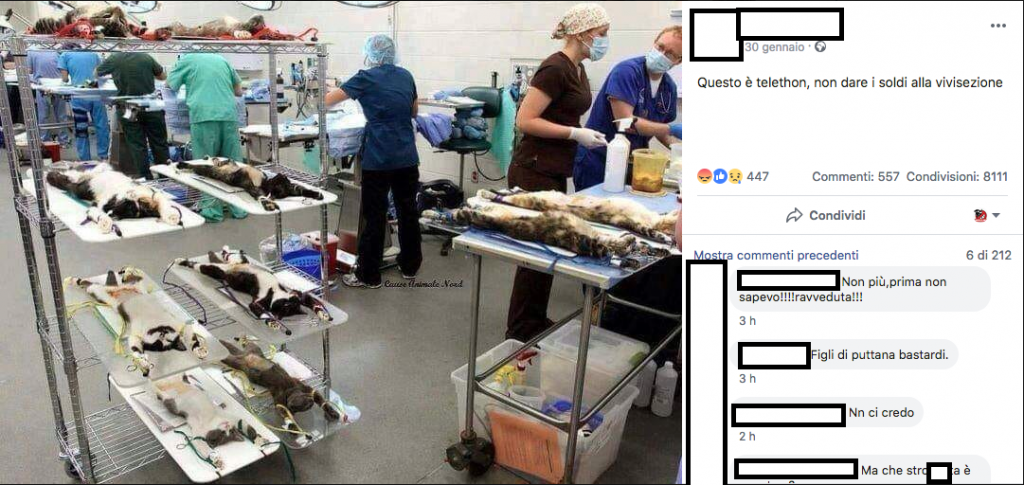 Questo è Telethon, non dare i soldi alla vivisezione!, il falso appello